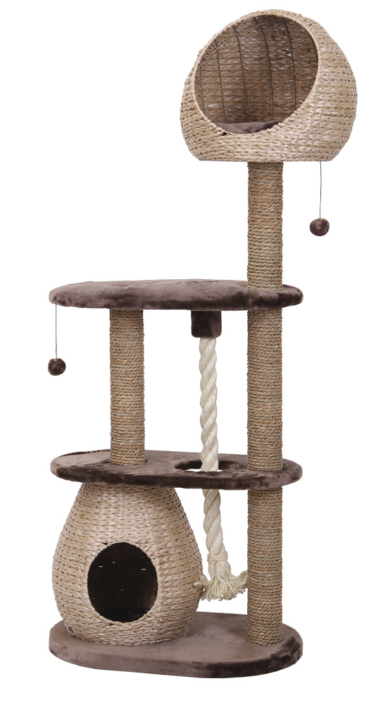 cutest dog breeds 2019